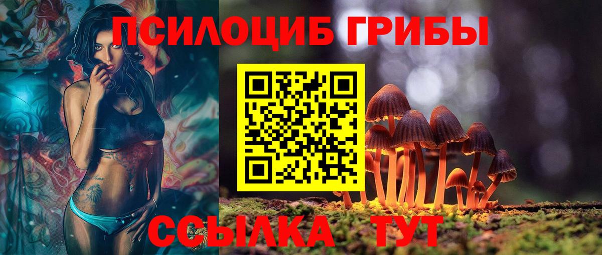 Псилоцибиновые грибы прущие грибы Артёмовский